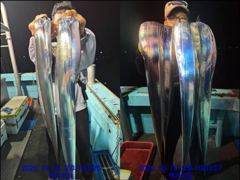 영운항 백가피싱 갈치 · 한치 조황 사진
