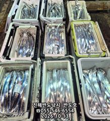 경화항 반도호 갈치 조황 사진