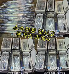 (풍산)내만갈치~어마어마~퍼담고~대박~(오늘,예약가능합니다)