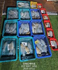 [진해] 팁런무늬오징어 장원 18수 오늘예약가능합니다