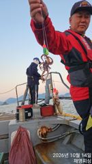 실시간 쭈꾸미 선비이벤트중