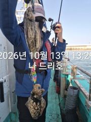 13일, 군산은 갑오징어 천국~싸이즈 굿~~내일도 갑니다~군산낚시프라자 나드리호