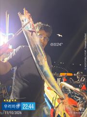 [진해] 갈치(템빈. 텐야) 대치들이 올라옵니다. (목요일 예약가능)