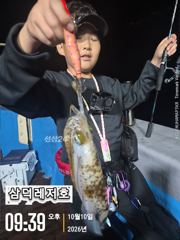 [팁런]대물시즌 ,k,k,무시급들(목요일,소수인원,출항확정)