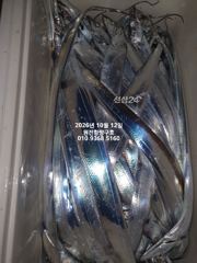 내만갈치)퍼담아 퍼담아~쿨러가 무겁습니다~예약중