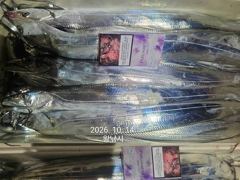 내만갈치 美친..씨알깡패! 퍼담고 쓸어담고..