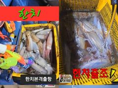 하리항 6광구피싱호 갈치 · 한치 조황 사진