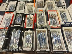 (王갈치)오늘 출항확정 4지3지 쿨러만땅 대박소식~수달호
