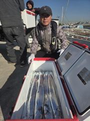소호항 아파치호 갈치 조황 사진