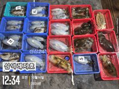 당포항 삼덕레저호 갈치 조황 사진