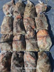 [군산] 10월16일 군산 강남호 문어 굿굿 조황