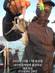 비응항 홈런호 주꾸미 조황 사진