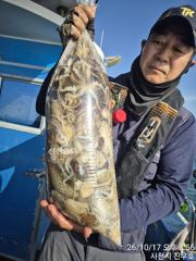 [사천] 17일 열한분 아침부터 쭈꾸미 완죤 바글바글 한피딩 받고 160…
